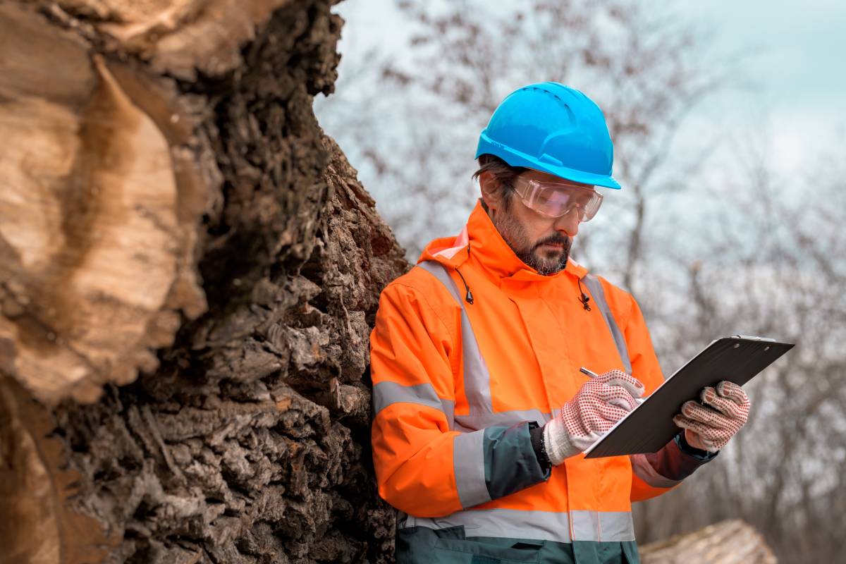Forestry technician writing notes on clipboard notepad paper in forest during logging deforestation process